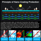 C5C Surface Wax Interior Coating Agent